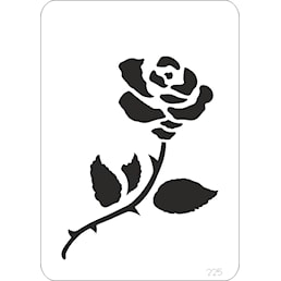 003923_0.jpg