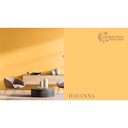 HAVANNA.jpg